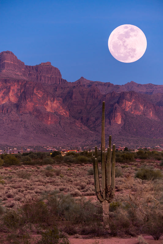 Harnessing the Power of the Full Moon in Aquarius and the Lion's Gate Portal for Transformation